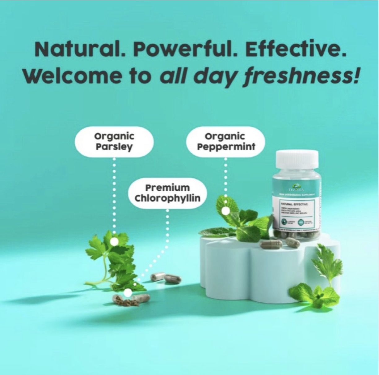 Elvoura Internal Body Deodorizer