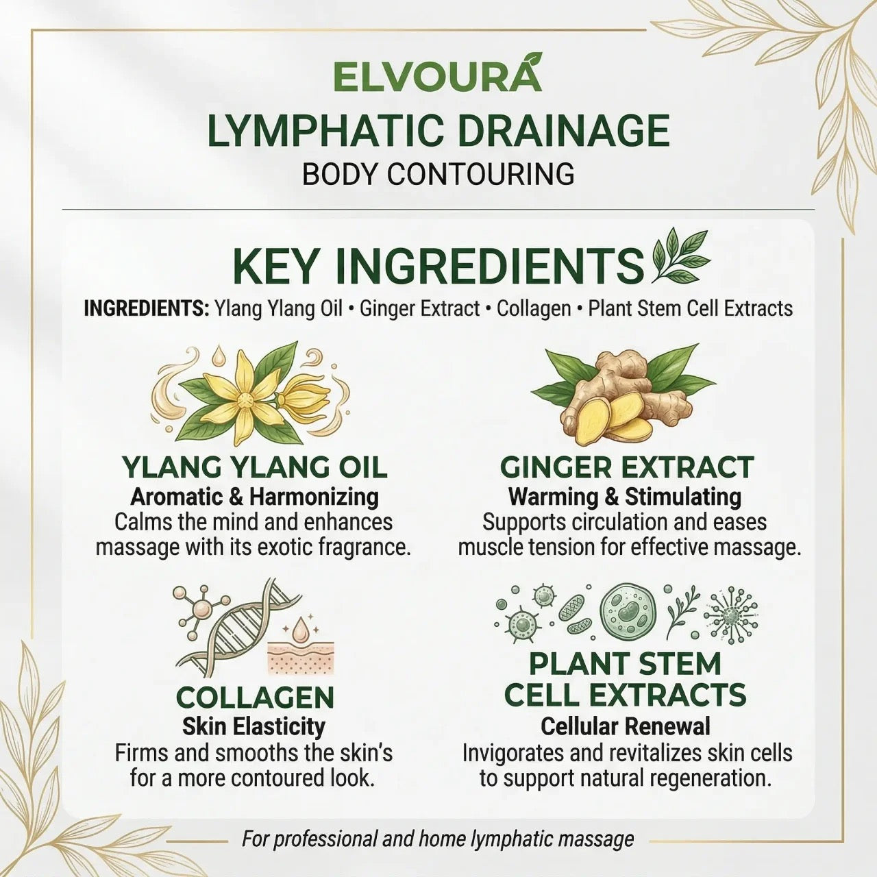 Lymphatic Drainage Oil
